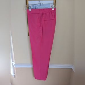 Ann Taylor Pink Ankle Pants NWOT